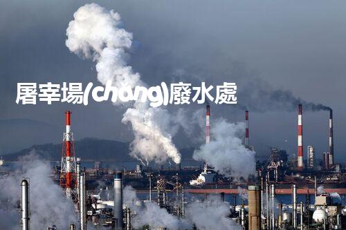 屠宰場(chǎng)廢水處理方案：解密以后環(huán)保新方向？